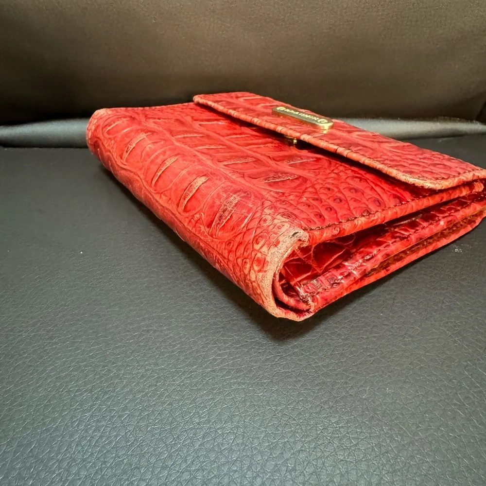 Brahmin measures 5x4”