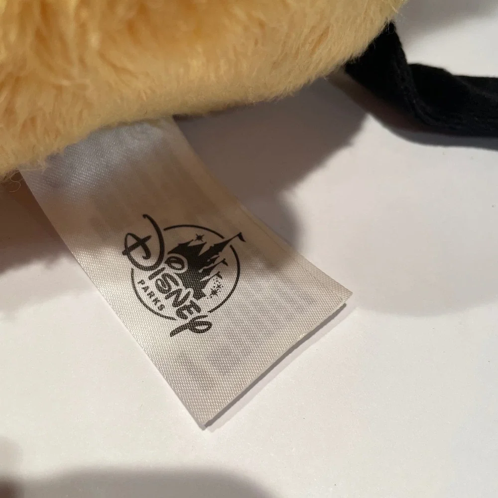 Disney parks pluto