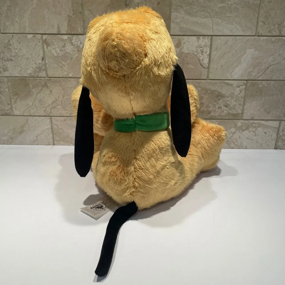 Disney parks pluto
