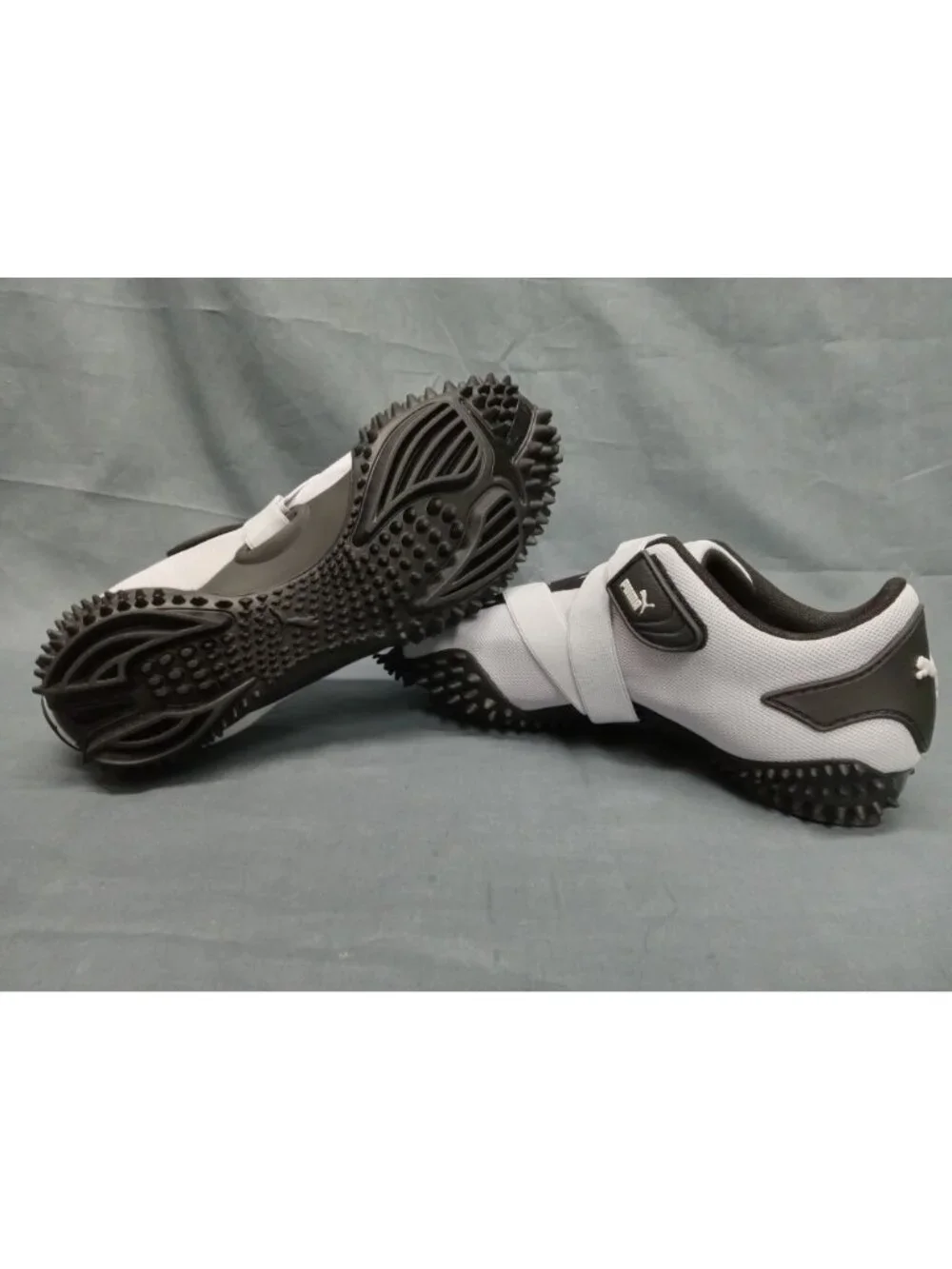 Puma mostro isn’t