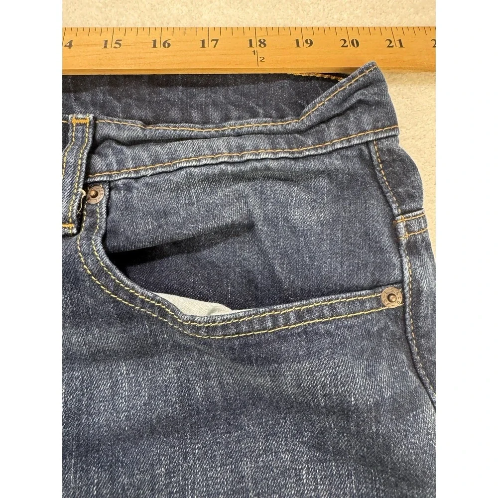 Levis levis 569