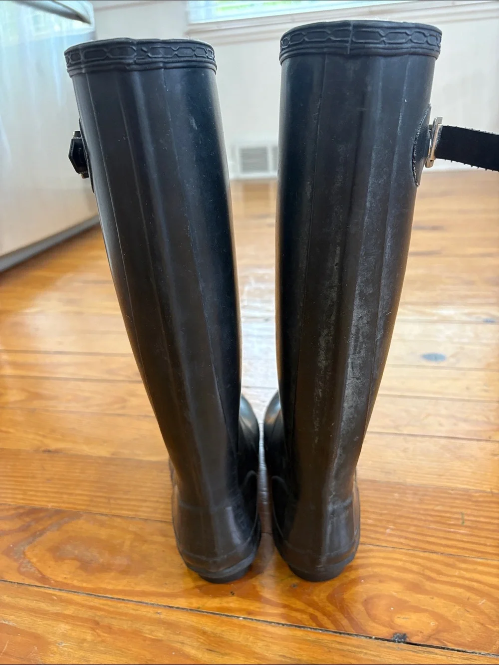Hunter classic tall