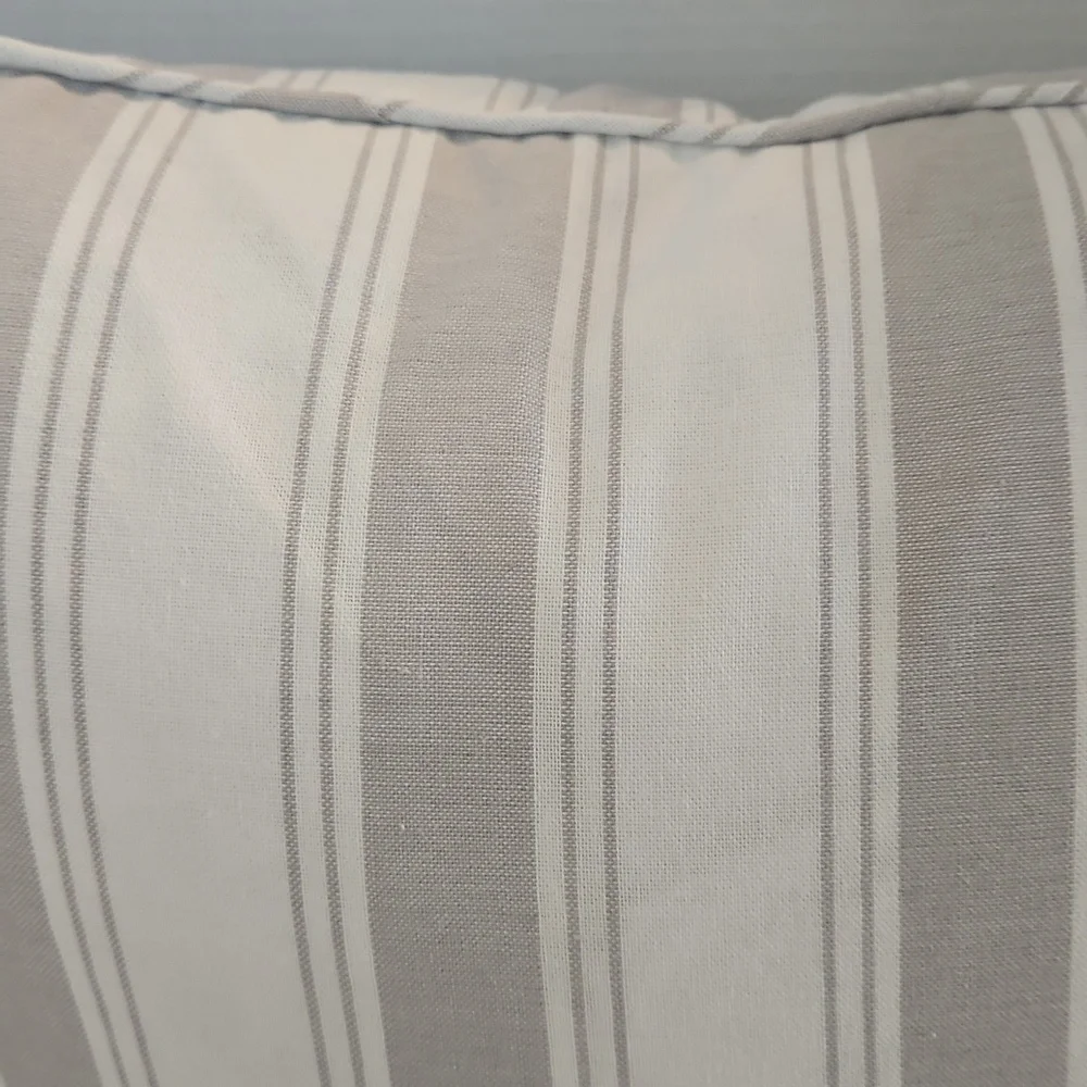 Envogue international nwt