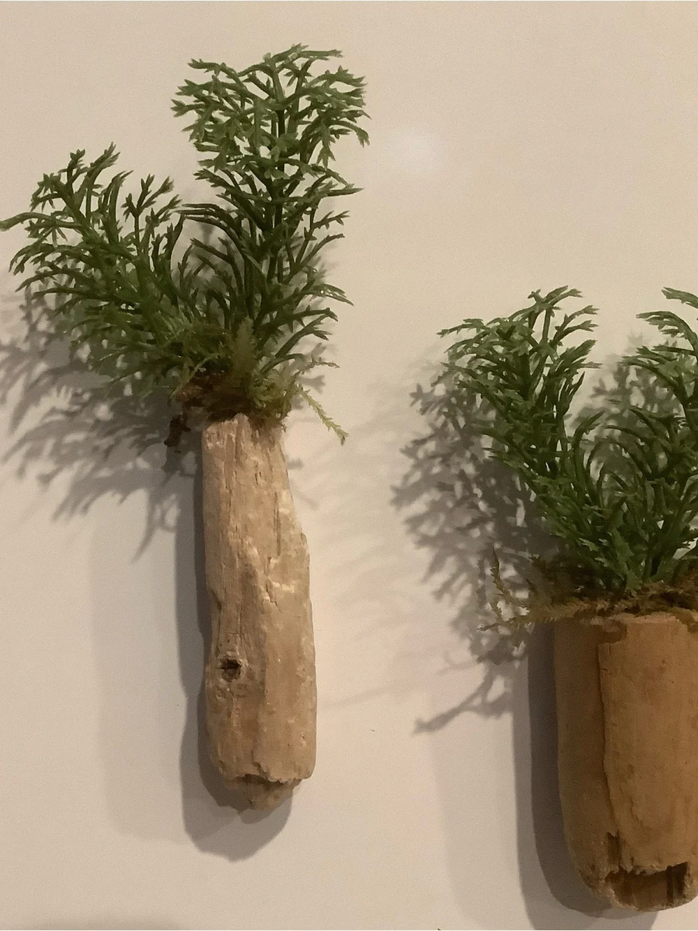 Driftwood Art, Driftwood Faux Plant Magnets, Driftwood Faux Greenery Coastal Art