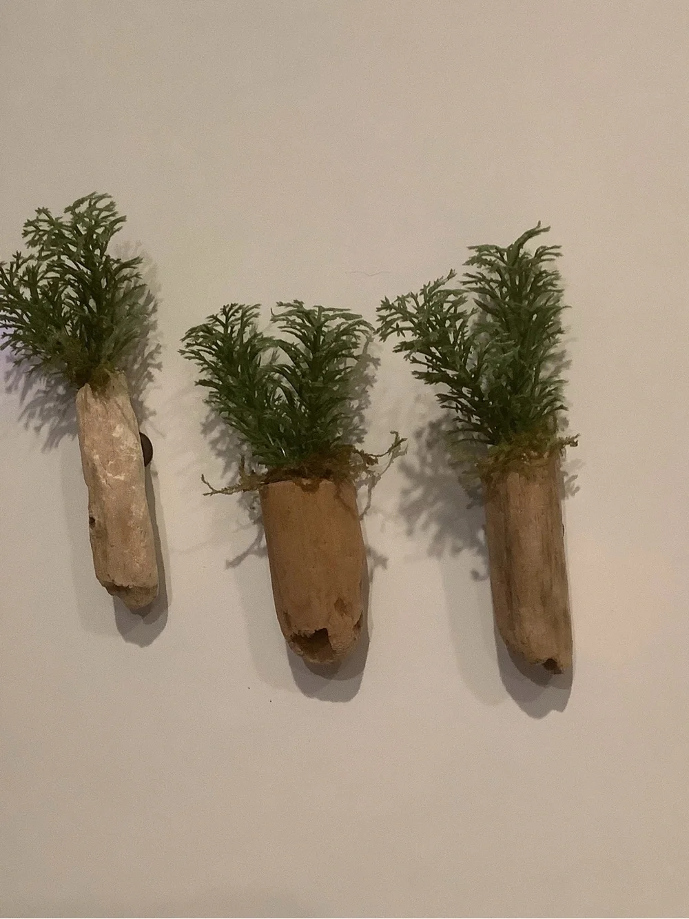 Driftwood Art, Driftwood Faux Plant Magnets, Driftwood Faux Greenery Coastal Art