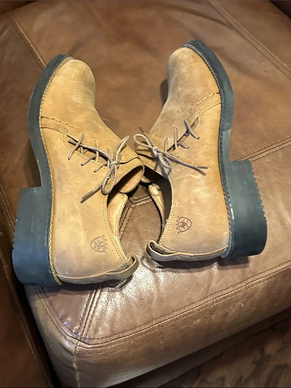 Ariat great pair