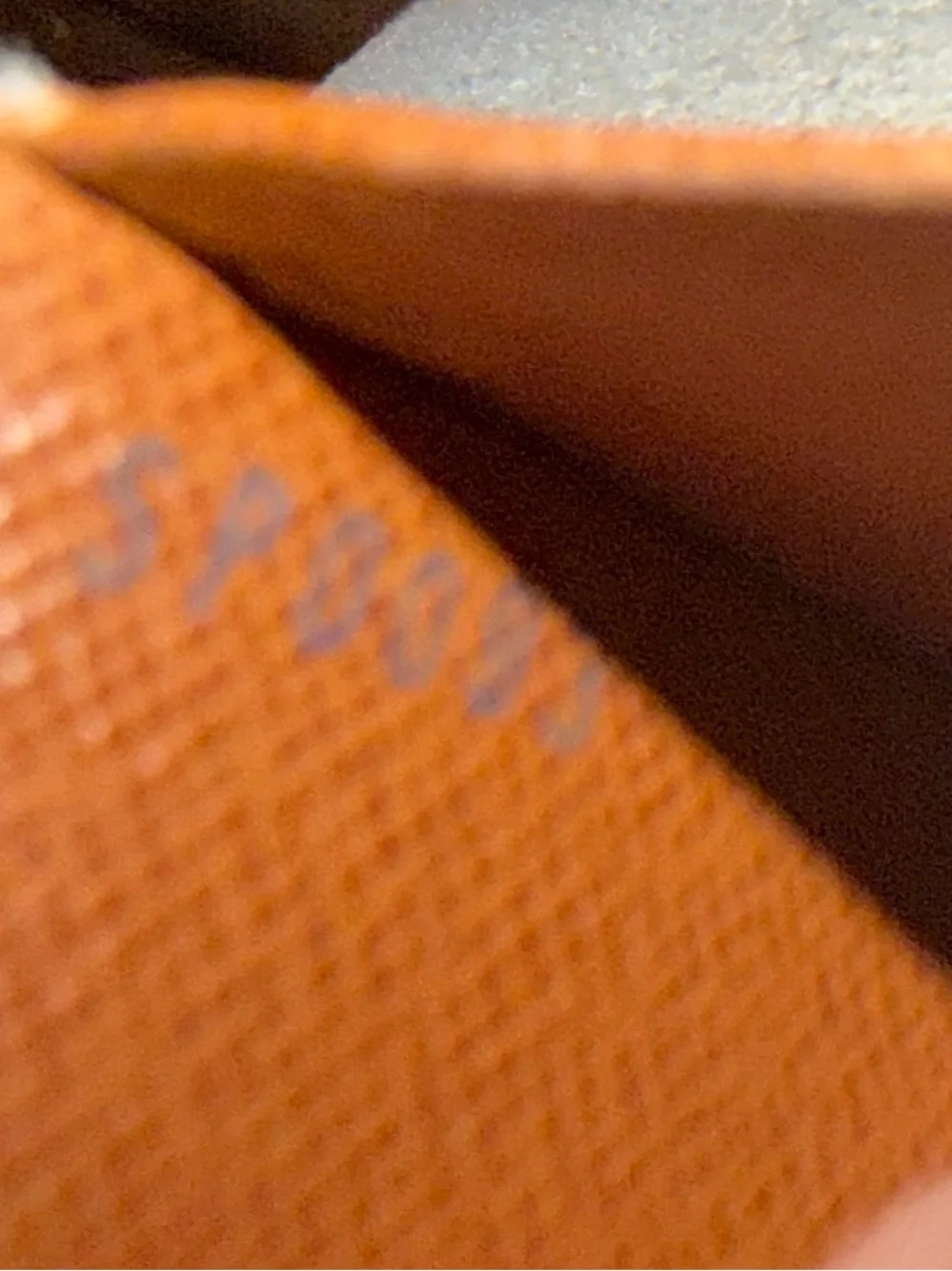 Louis Vuitton classic louis
