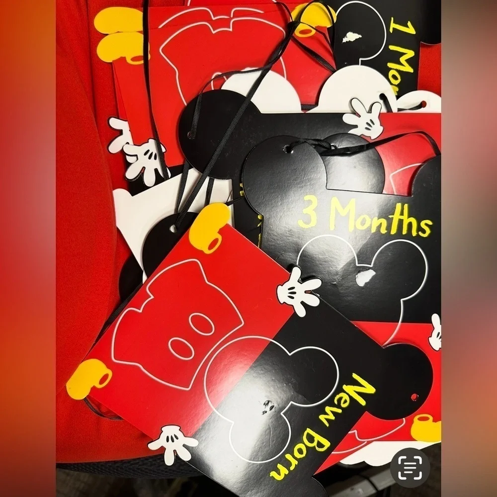 Disney celebrate style