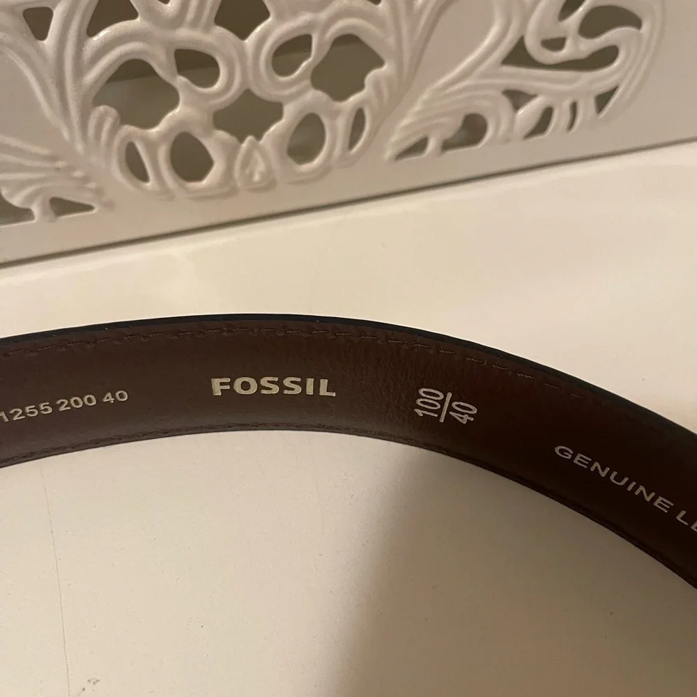 Fossil beautiful tan