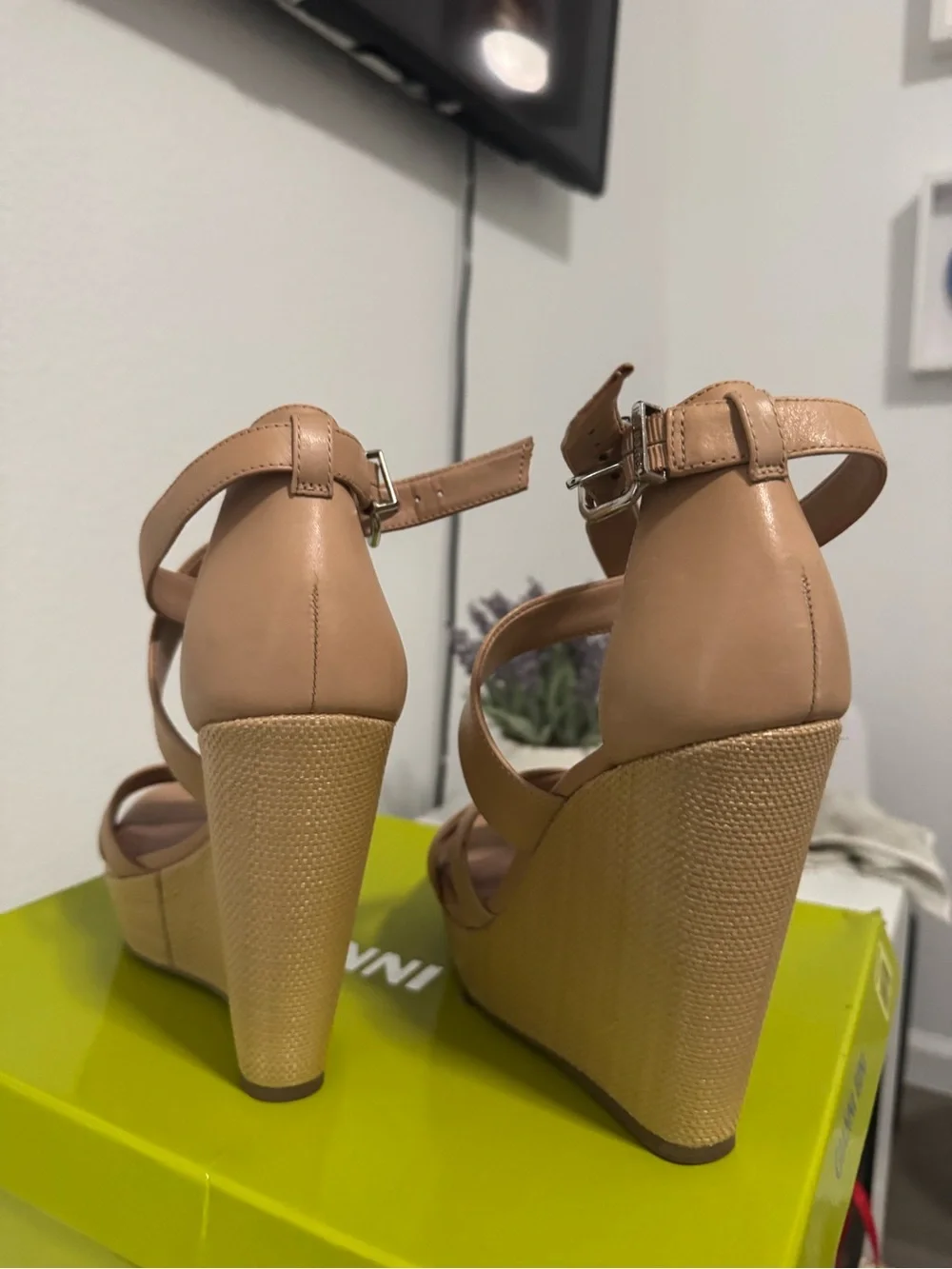 Gianni Bini gianni bini