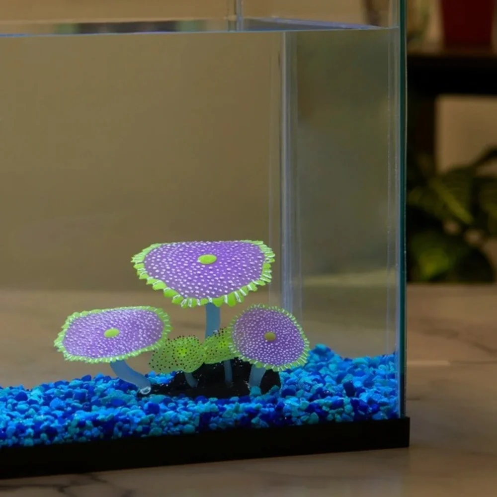 Aqua Culture silicone glowing