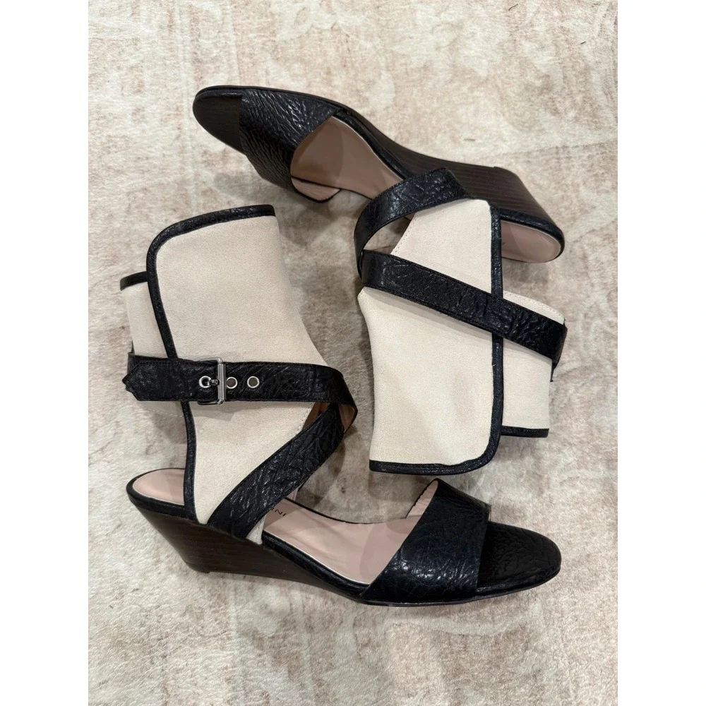 Studio Pollini studio pollini