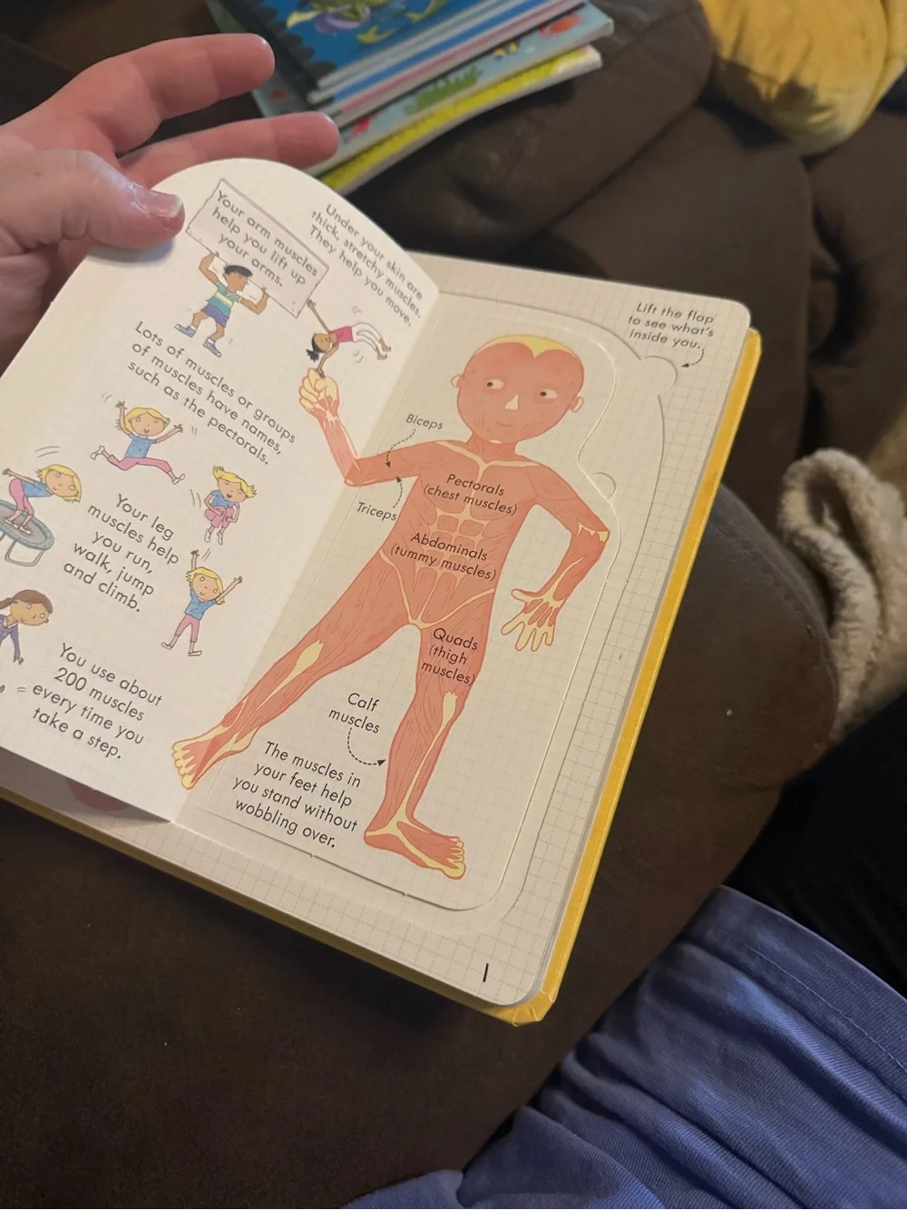 usborne image shows