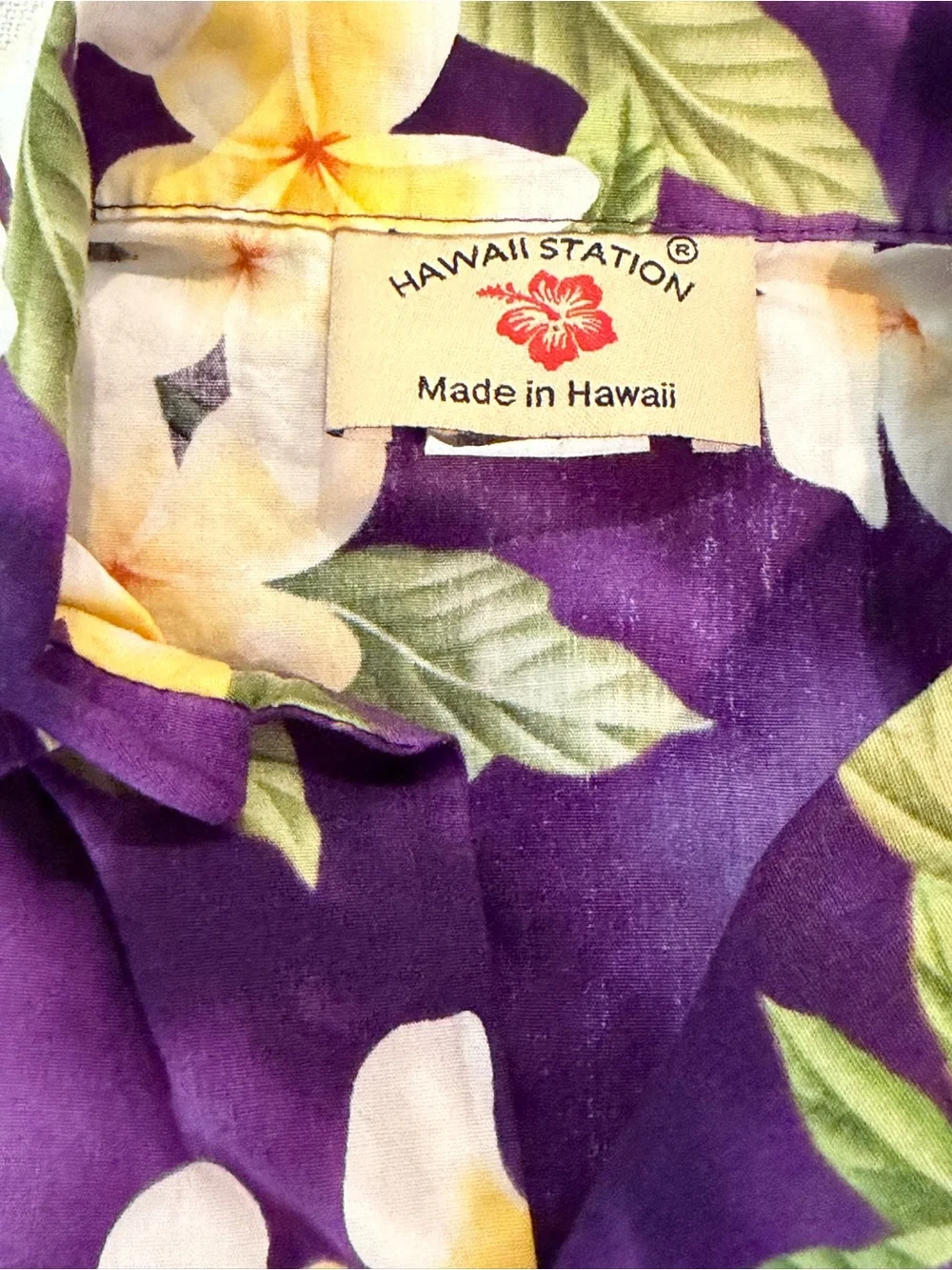 Hawaii Station vintage style