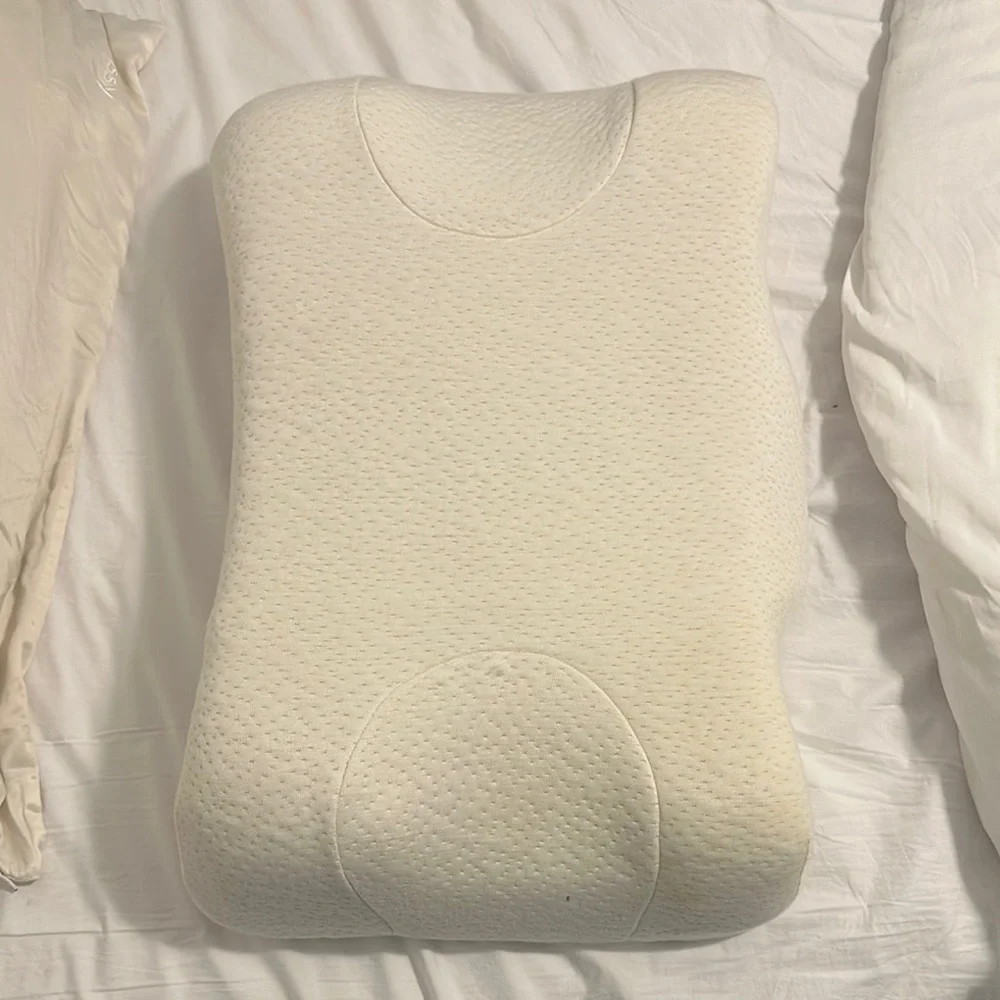 Beauty Pillow with Skin and Pillow case