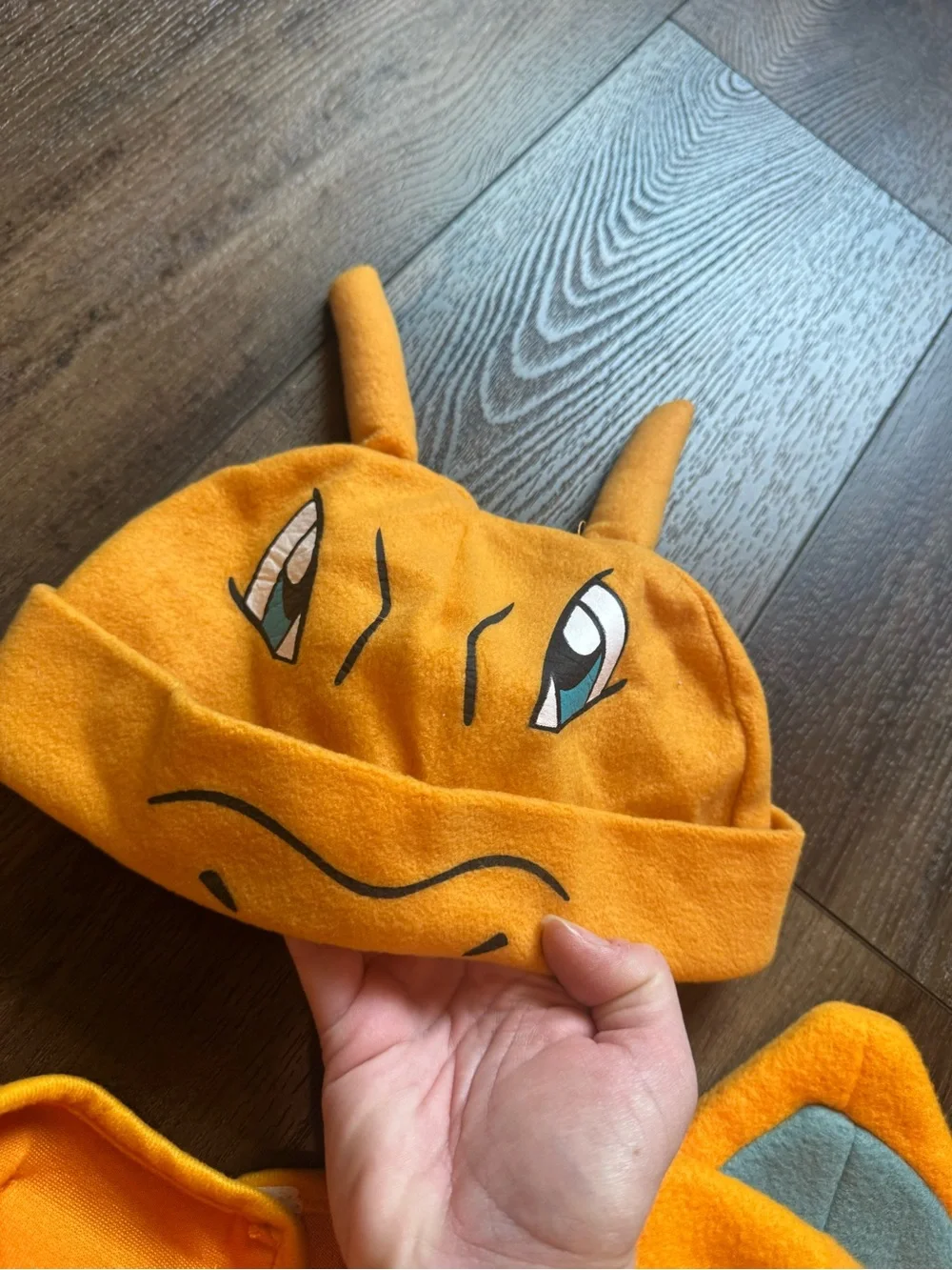 Pokemon kids charizard