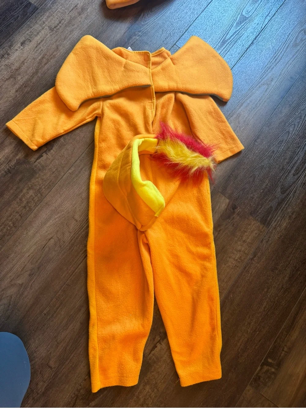 Pokemon kids charizard