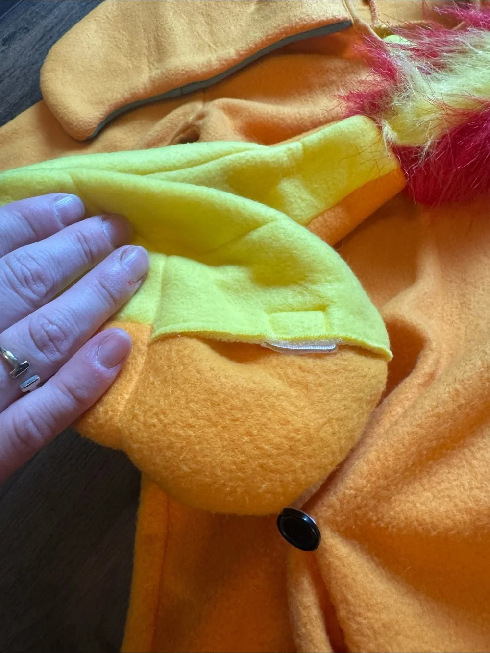 Pokemon kids charizard