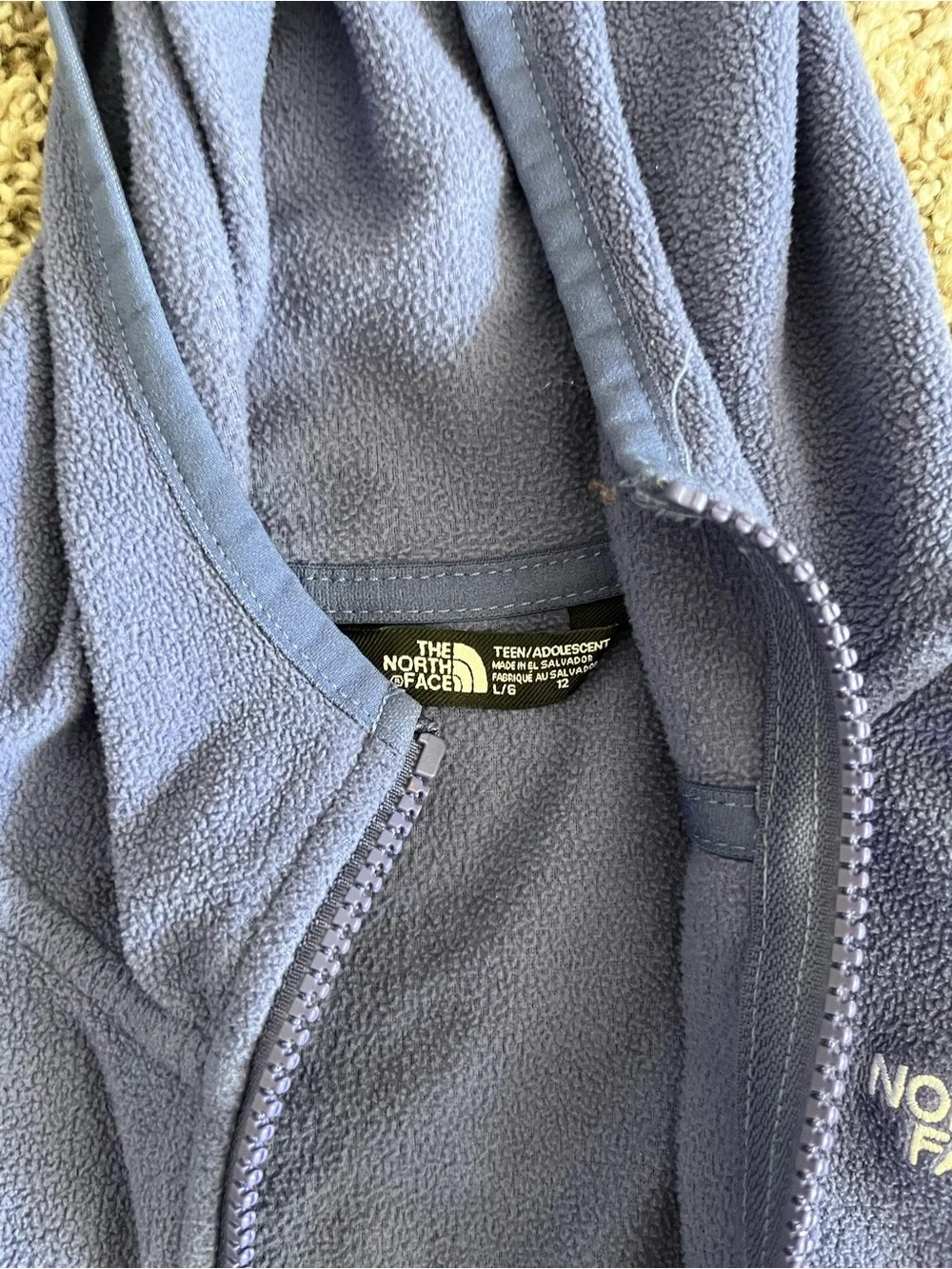 The North Face boys north