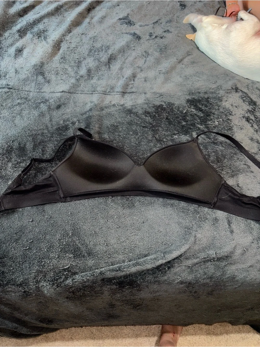 Black T-Shirt Bra