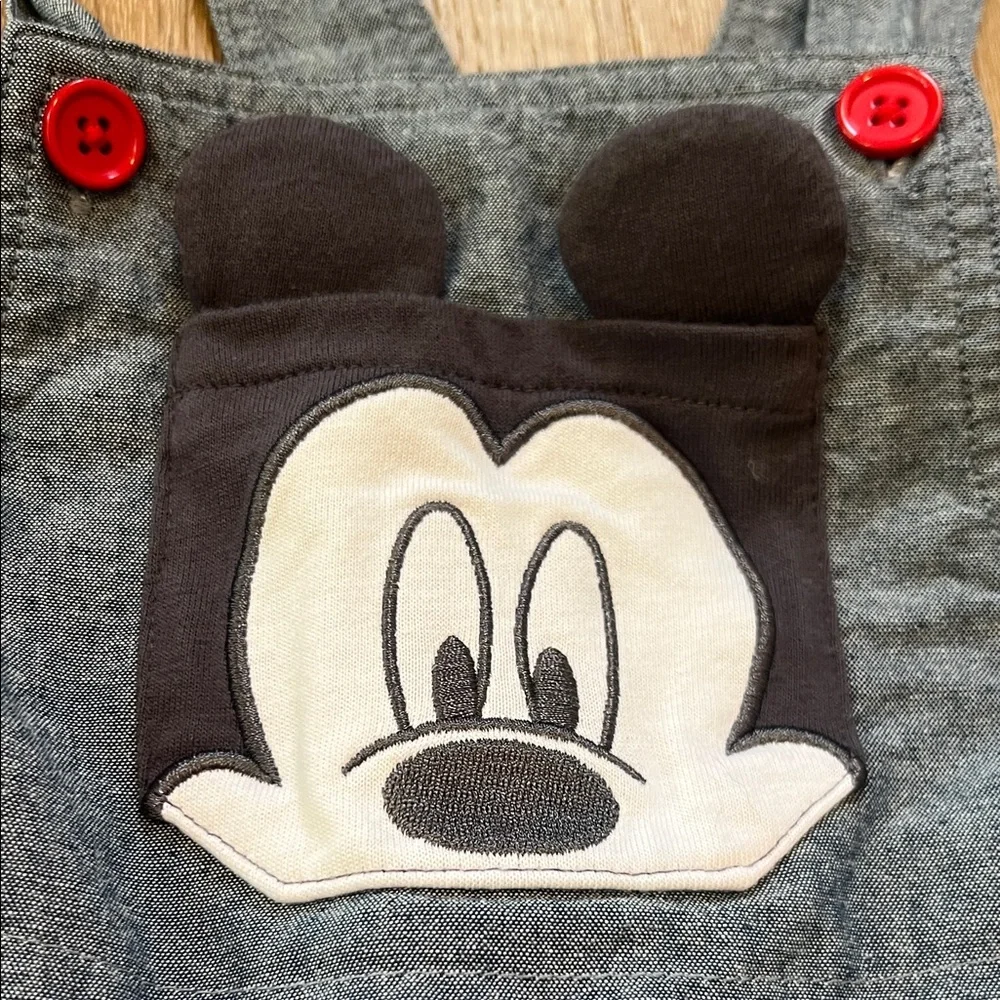 Disney stylish gray