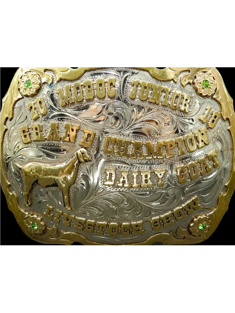 N/A mollys silver