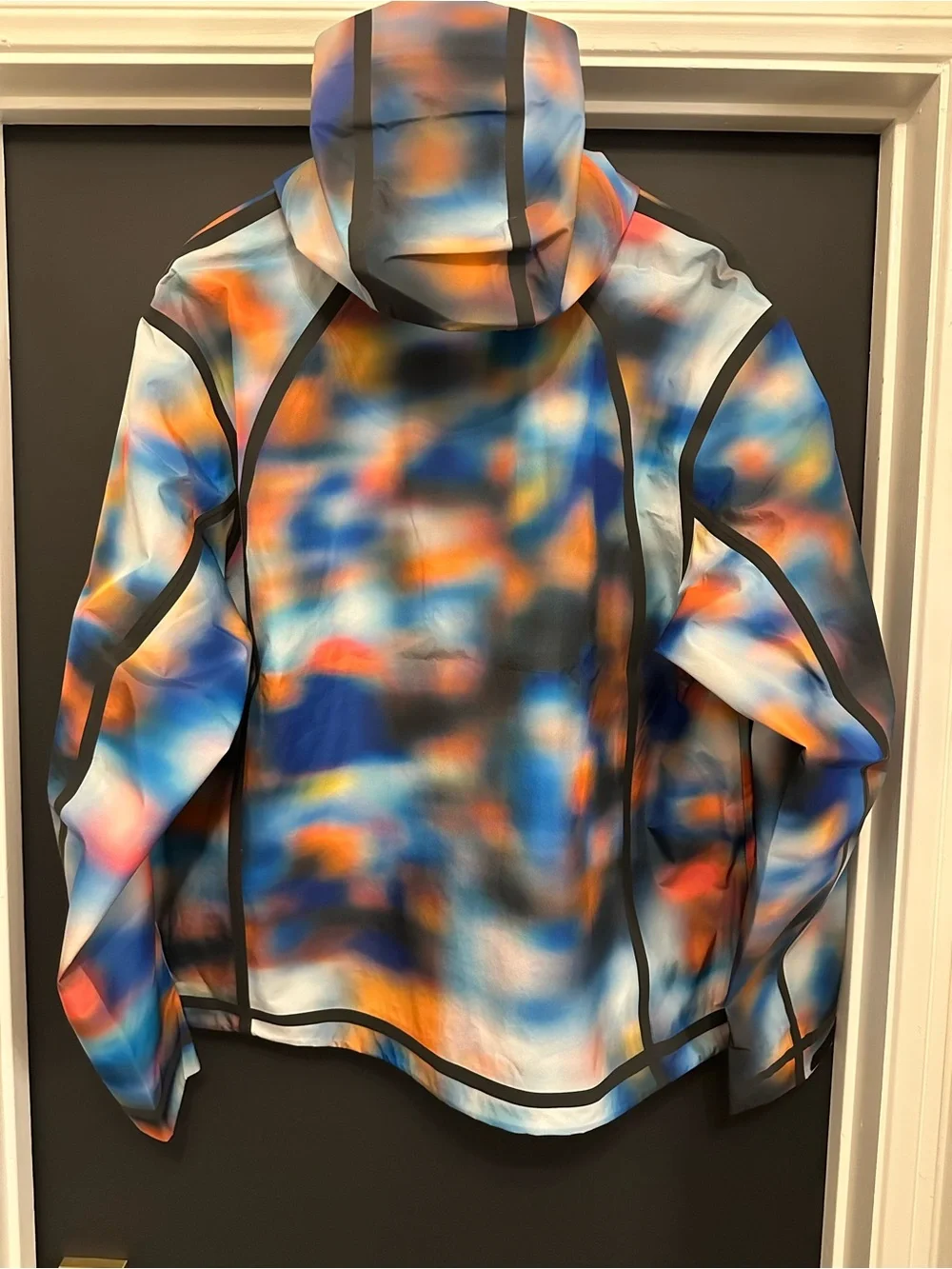 Jordan Men’s Multicolor GORE-TEX Performance Hooded Jacket BNWT $500retail Large