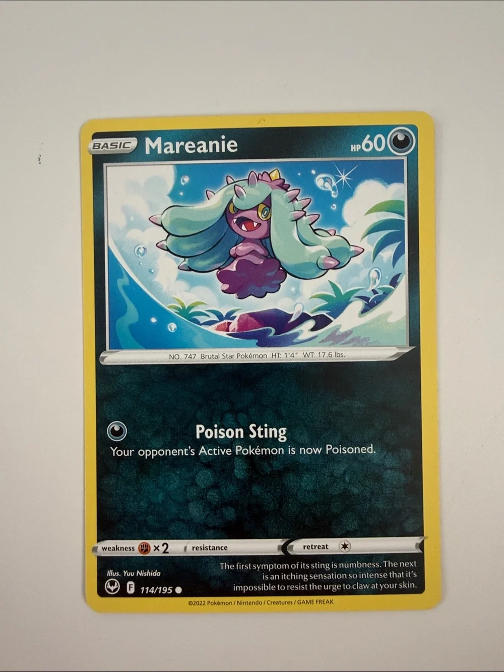 Pokemon mix match