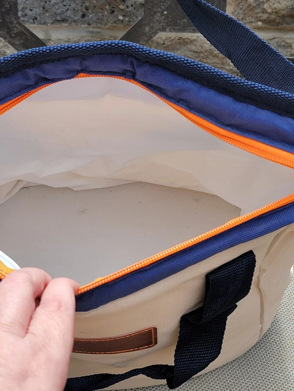 Disney Cruise Line Insulated Cooler Bag Tote Beige Blue Orange Shoulder Strap