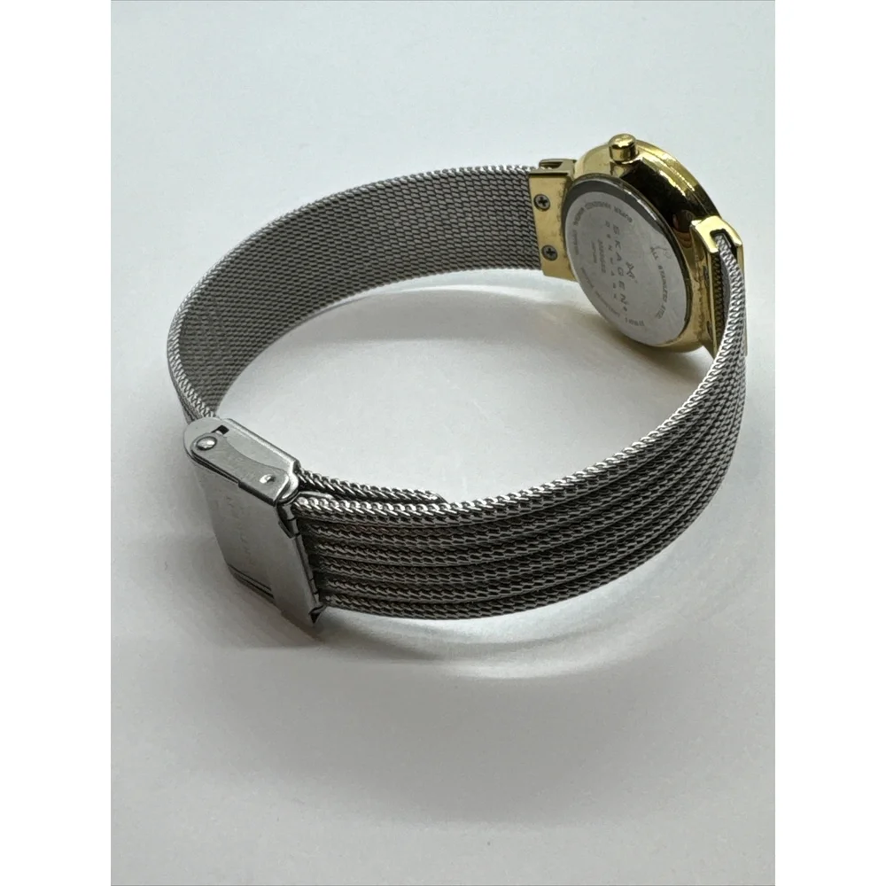 Skagen 355sgss women