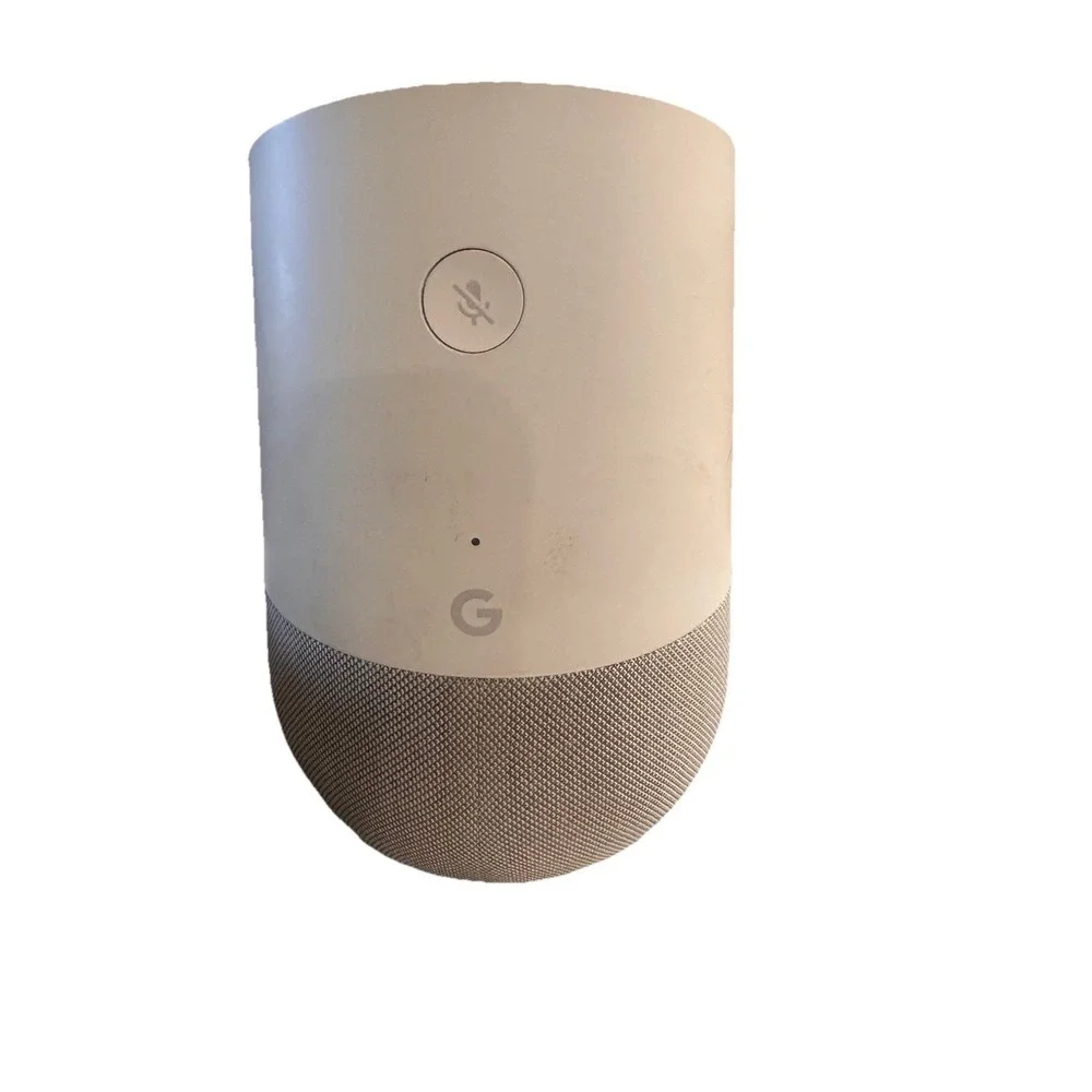 google home voice