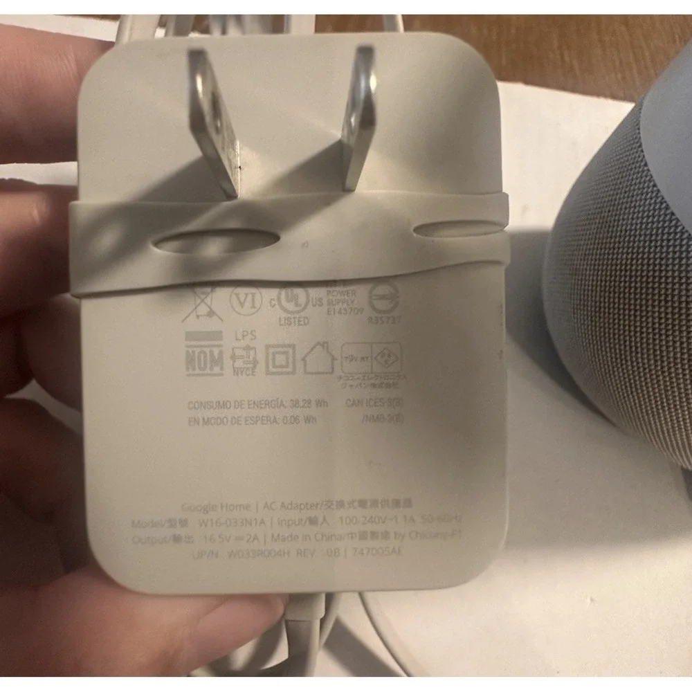google home voice