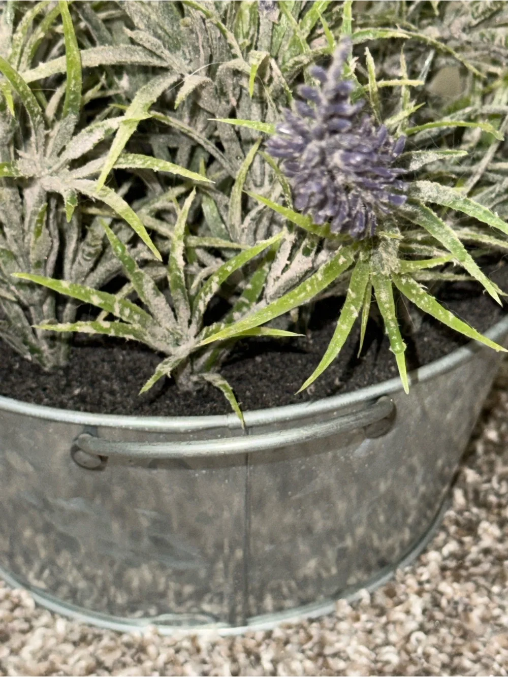 N/A silver plant bucket