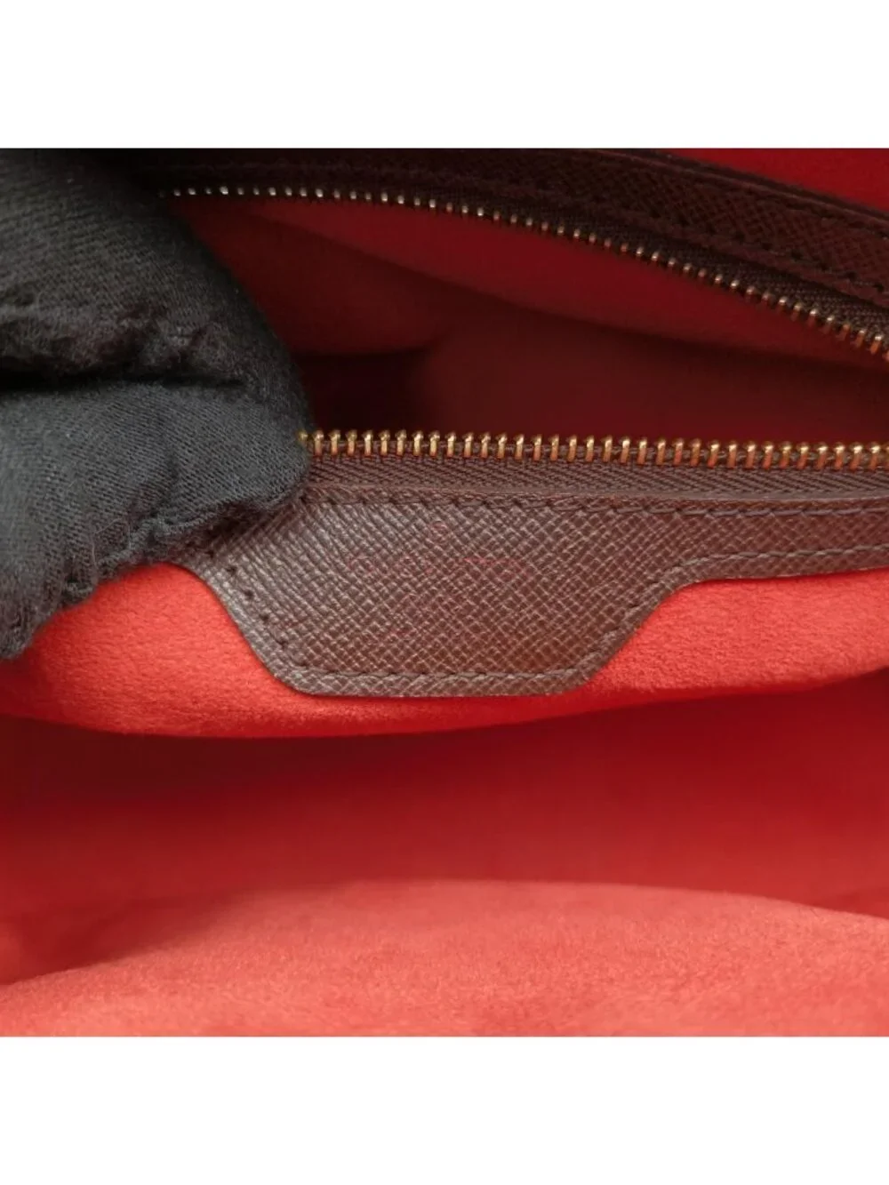 Louis Vuitton brand louis