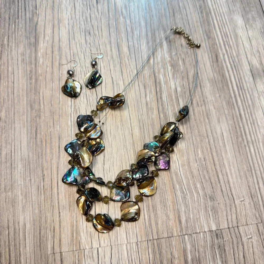 Unbranded iridescent abalone