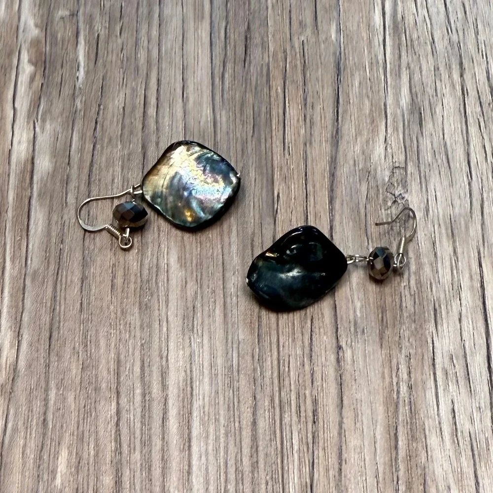Unbranded iridescent abalone