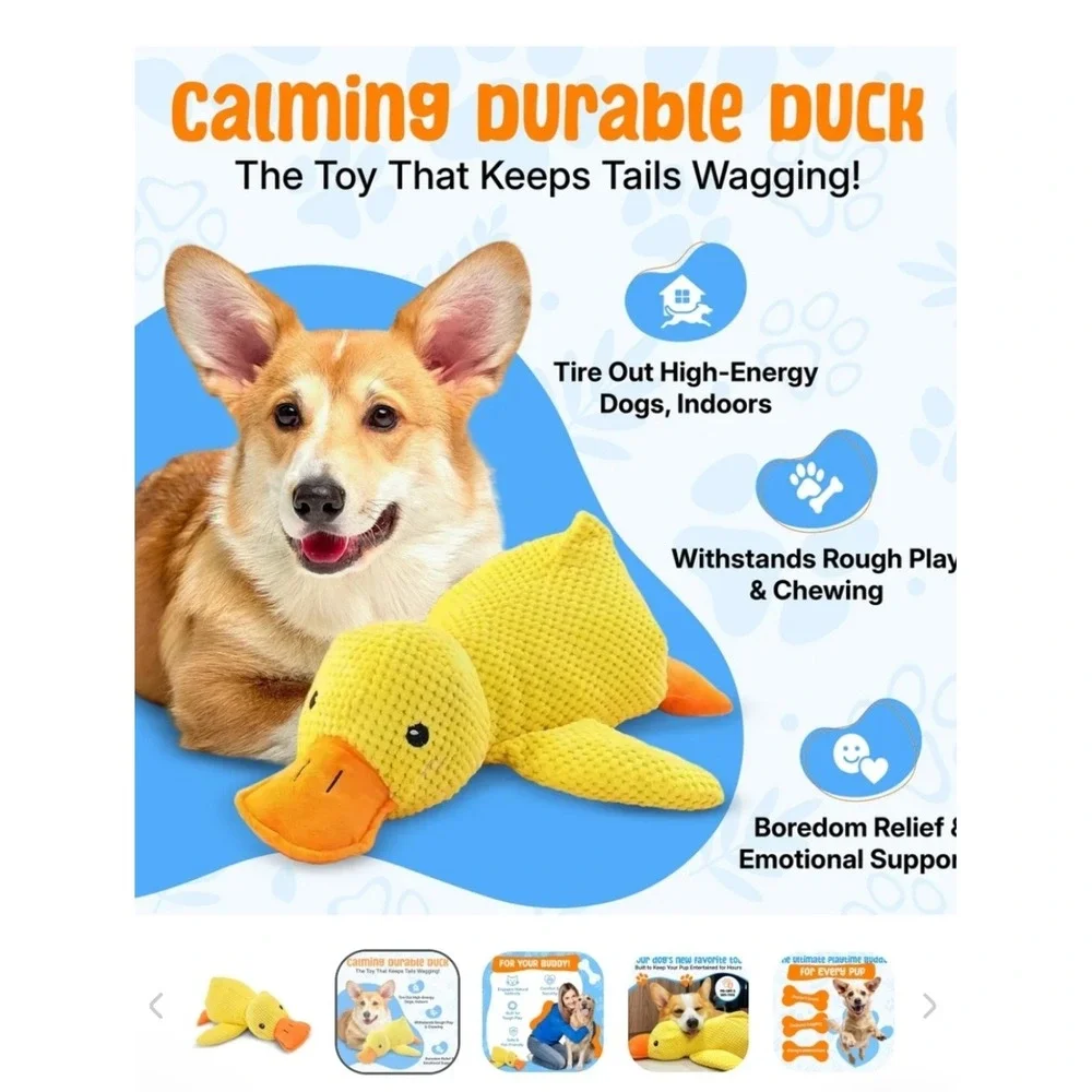 The Calm Pet toughbear made