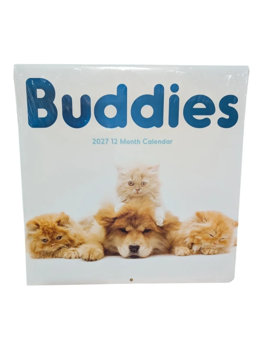 Buddies 2027 12-Month Animal Calendar