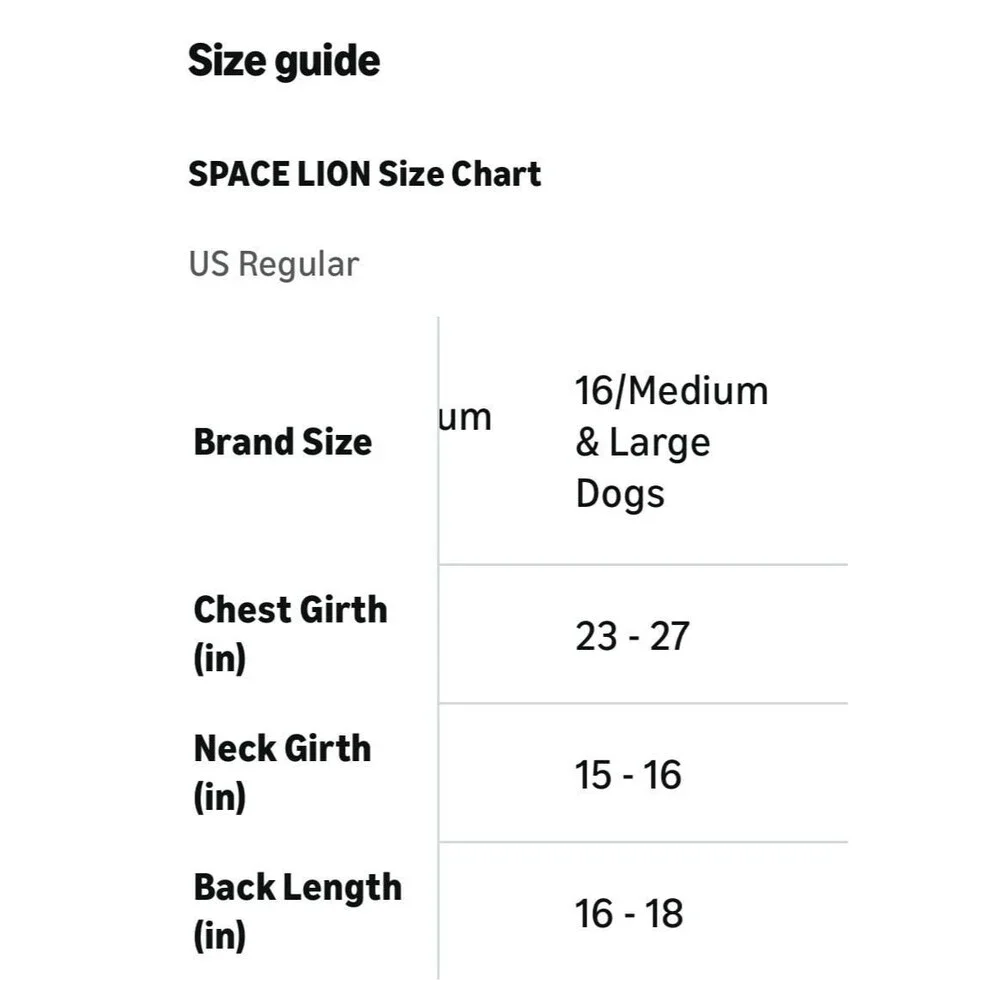 SPACE LION space lion