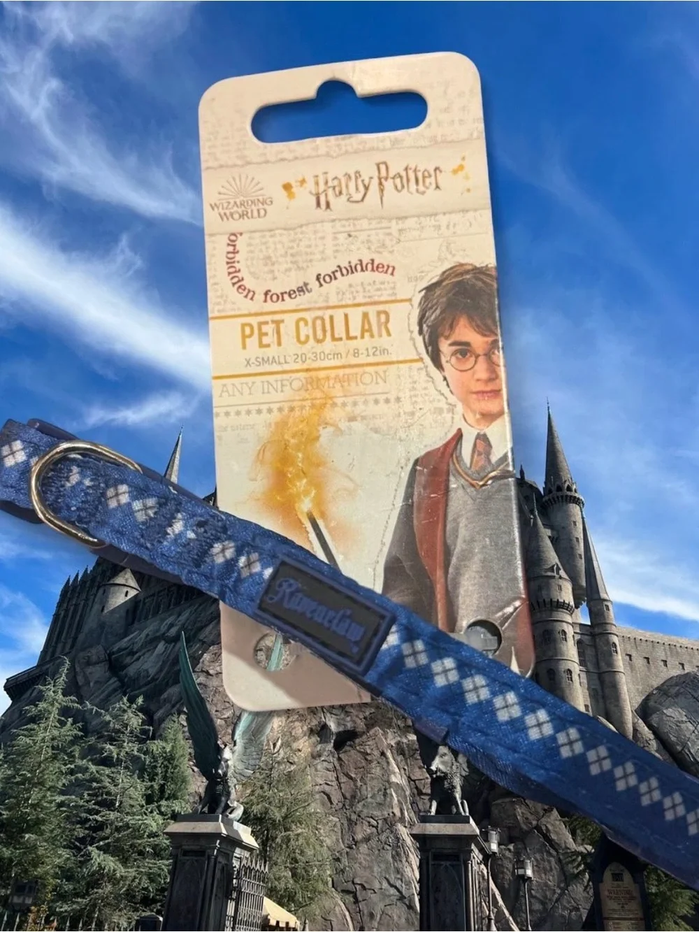 Warner Bros. xs ravenclaw