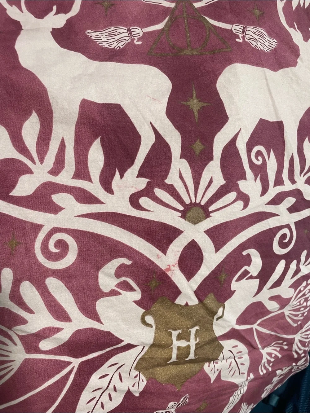 Pottery Barn Teen burgundy background