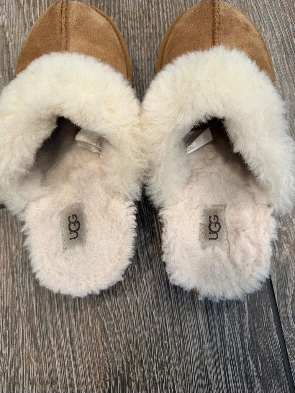 UGG suede clogs