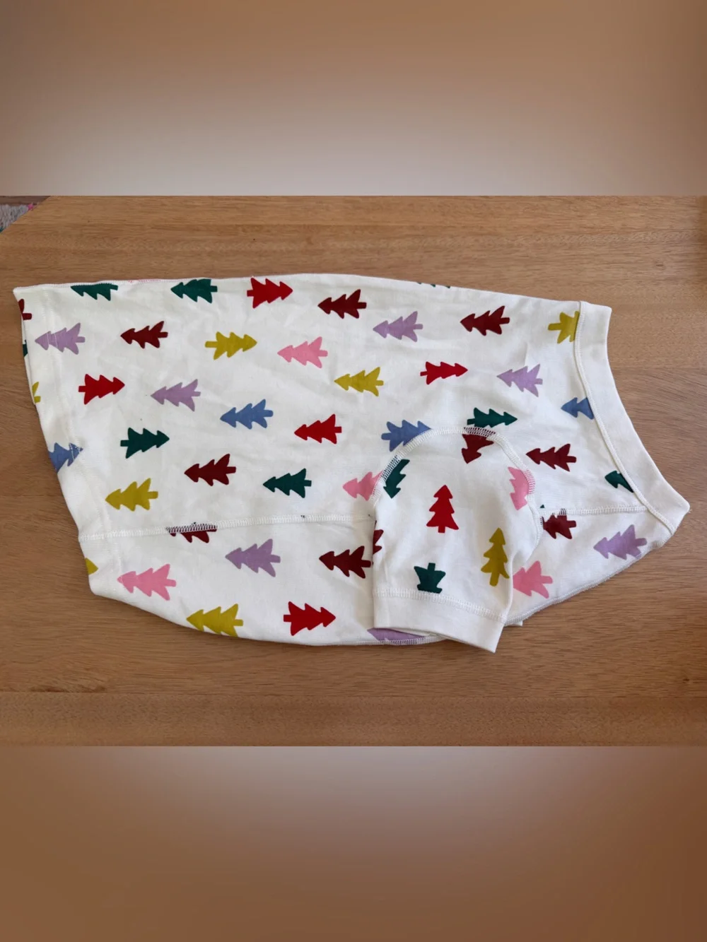 Hanna Andersson Dog Christmas Shirt - Family Matching Pajamas
