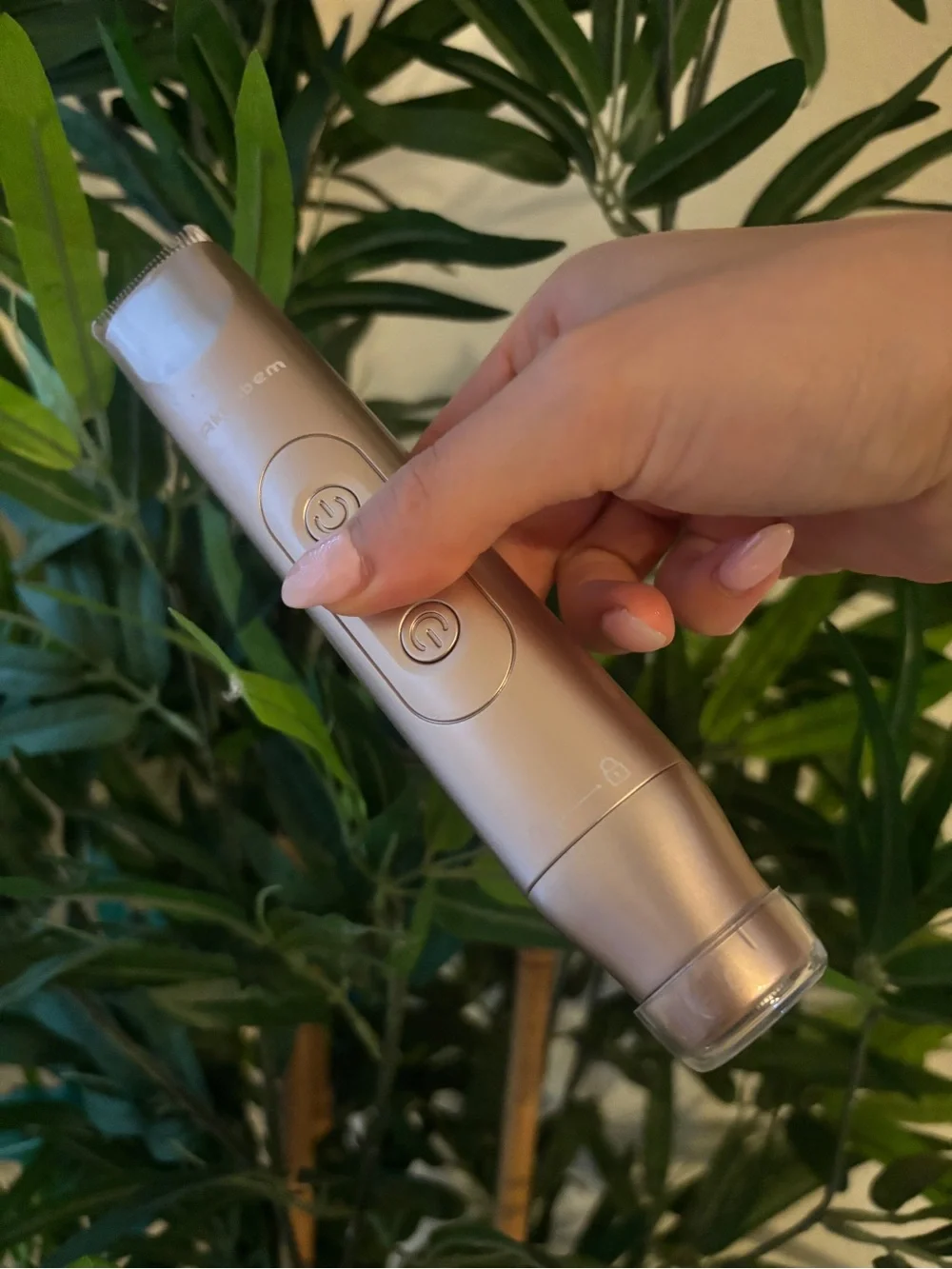 N/A rechargeable rose