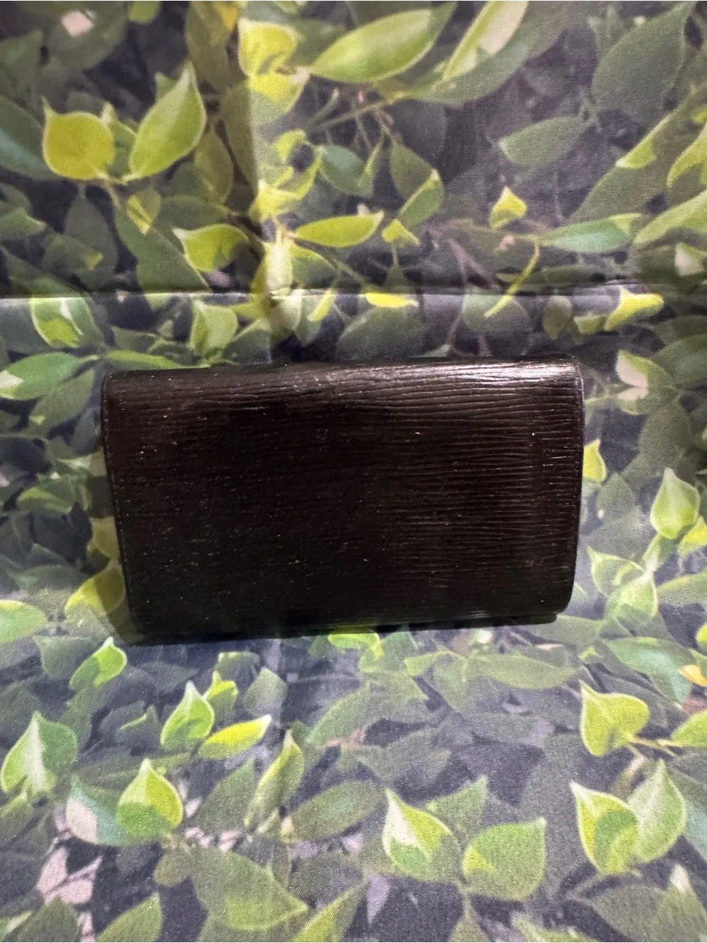 Louis Vuitton classic louis