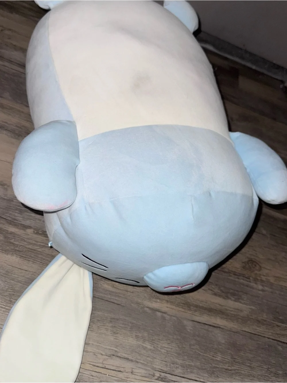 Squishmallows cuddly bunny