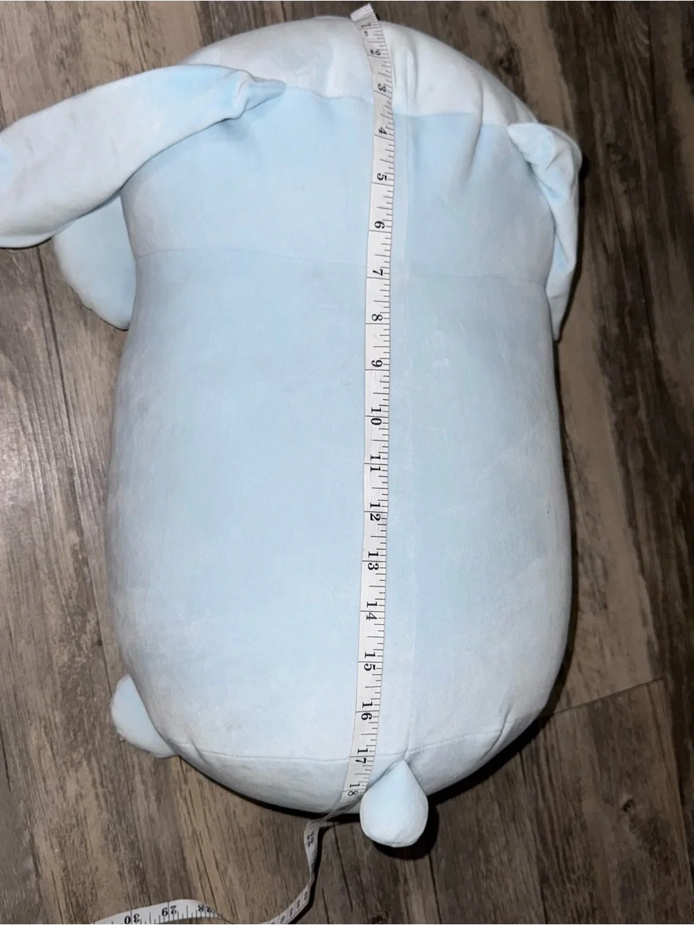 Squishmallows cuddly bunny