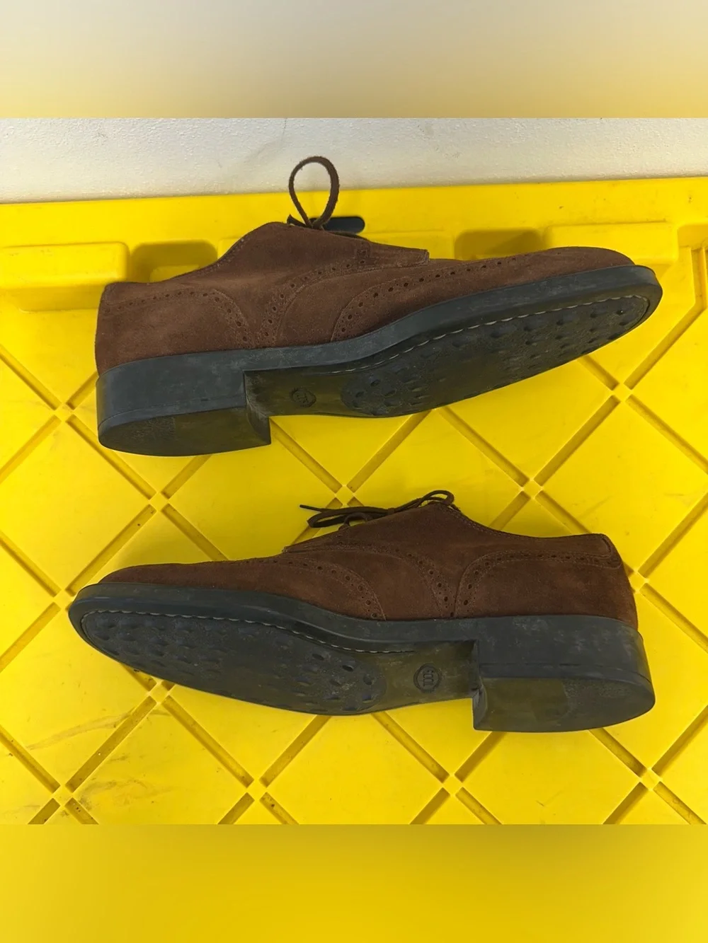 Tods classic brown