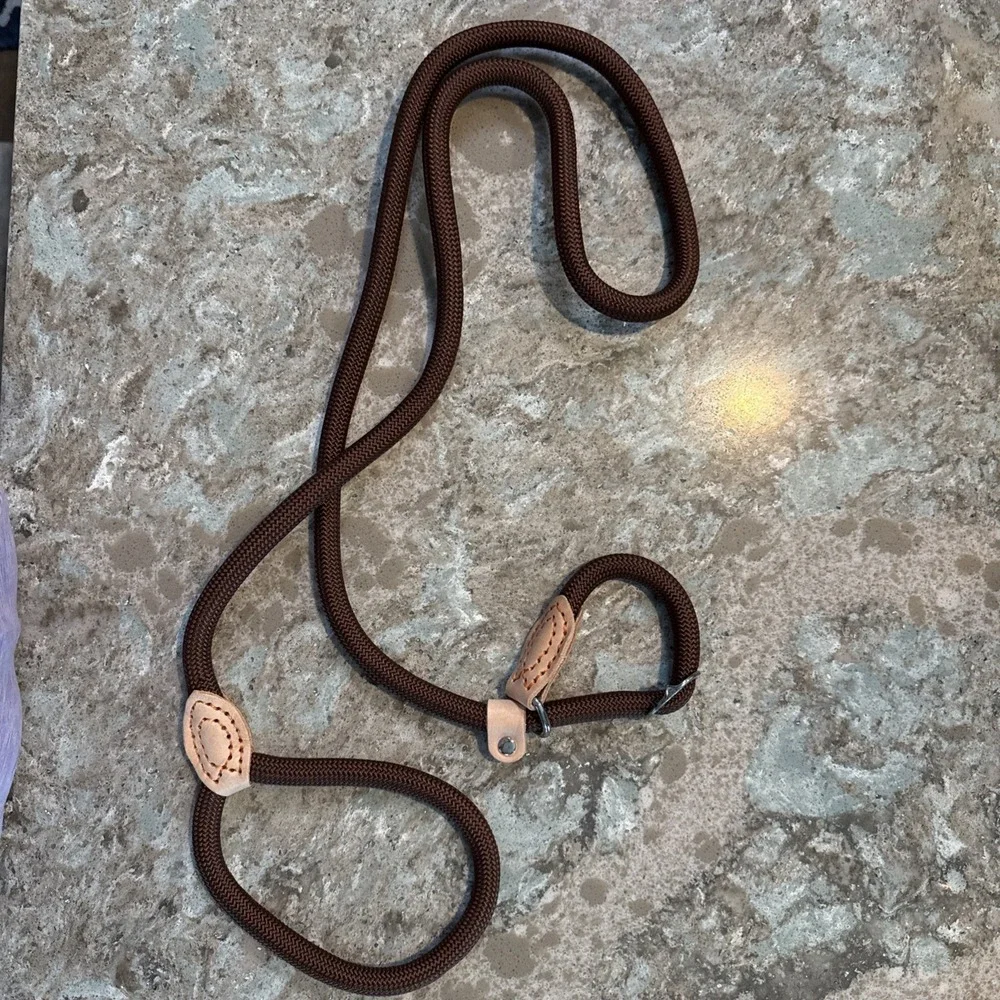 5' Nylon Leather Slip Lead Dog Leash Brown Dog Training Walking Exercise‎