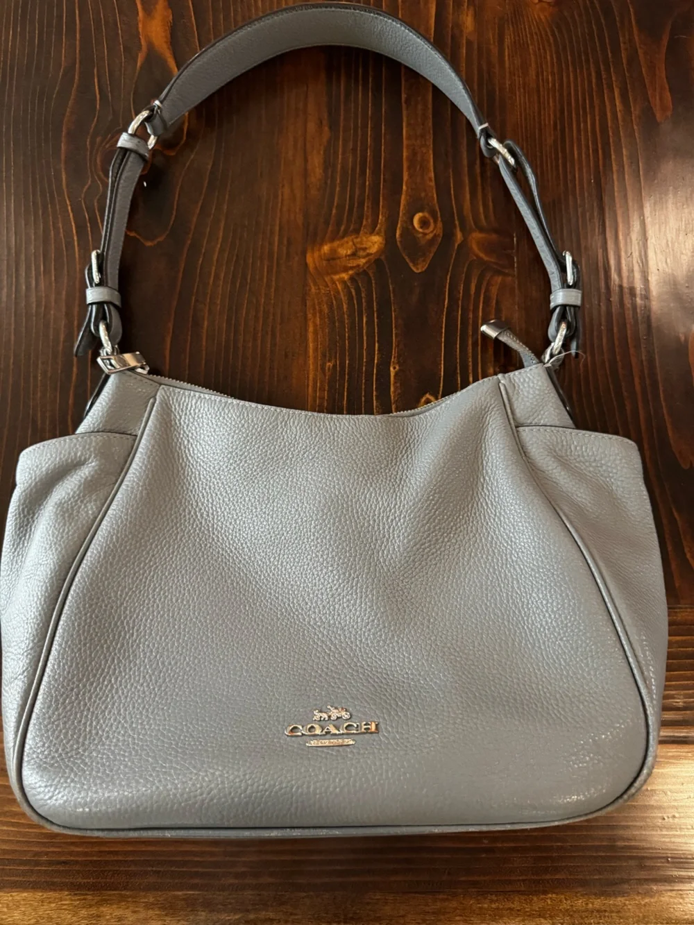 Coach Hobo Beauty!